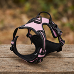 Dog Harness