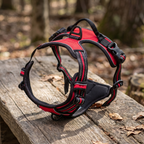 Dog Harness